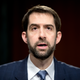 Sen. Tom Cotton (Andrew Harnik/Associated Press)